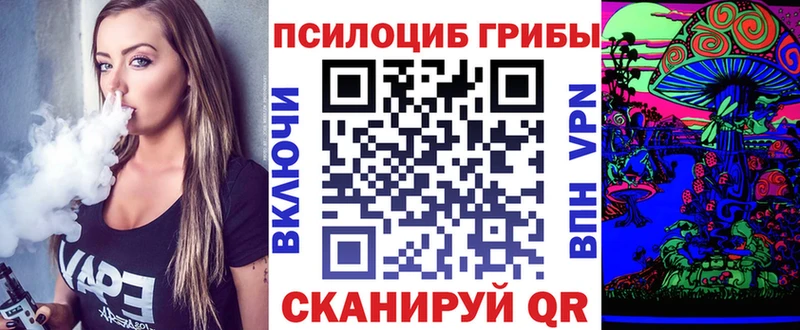 мега ССЫЛКА  Починок  Галлюциногенные грибы мицелий 